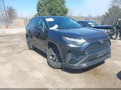 2T3H1RFV8RW353974 2024 TOYOTA RAV 4