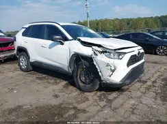 2T3H1RFV9KW057125 2019 TOYOTA RAV 4