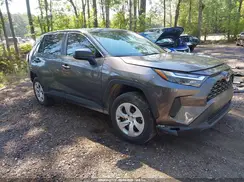 2T3H1RFV9RC256042 2024 TOYOTA RAV 4