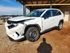 2T3H1RFVXNW225536 2022 TOYOTA RAV 4