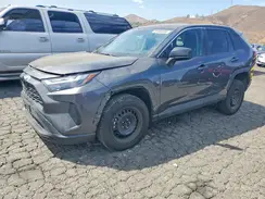 2T3H1RFVXPC214167 2023 TOYOTA RAV 4