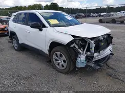 2T3H1RFVXRC256972 2024 TOYOTA RAV 4
