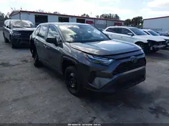 2T3H1RFVXRC259905 2024 TOYOTA RAV 4