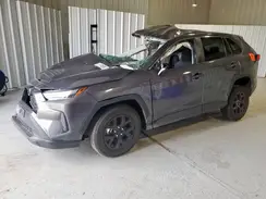2T3H1RFVXRW325030 2024 TOYOTA RAV 4