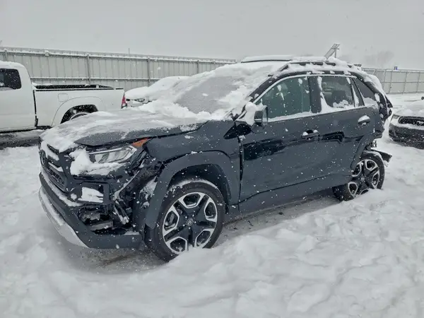 2T3J1RFV0KW003696 2019 TOYOTA RAV 4 - Image 1