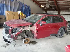 2T3J1RFV0KW026749 2019 TOYOTA RAV 4