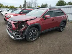 2T3J1RFV0KW029246 2019 TOYOTA RAV 4