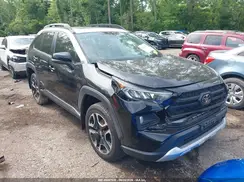 2T3J1RFV0KW069231 2019 TOYOTA RAV 4