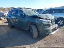 2T3J1RFV0RW451172 2024 TOYOTA RAV 4