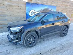 2T3J1RFV0RW465119 2024 TOYOTA RAV 4