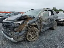 2T3J1RFV0SW517483 2025 TOYOTA RAV 4