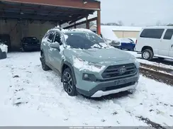 2T3J1RFV1KW004064 2019 TOYOTA RAV 4