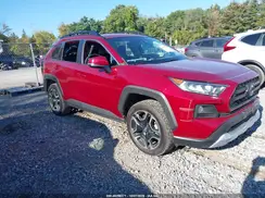 2T3J1RFV1KW022466 2019 TOYOTA RAV 4