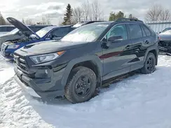 2T3J1RFV1KW026775 2019 TOYOTA RAV 4