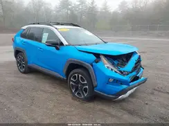 2T3J1RFV1KW036366 2019 TOYOTA RAV 4