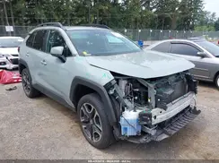 2T3J1RFV1KW043396 2019 TOYOTA RAV 4