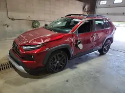 2T3J1RFV1PW360053 2023 TOYOTA RAV 4