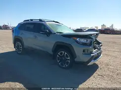 2T3J1RFV2KW024159 2019 TOYOTA RAV 4