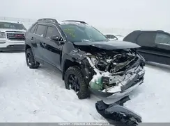 2T3J1RFV2NW328032 2022 TOYOTA RAV 4