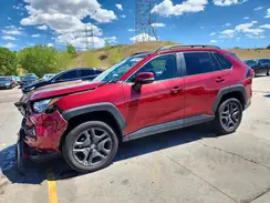 2T3J1RFV2RW460343 2024 TOYOTA RAV 4