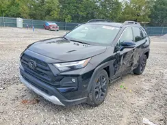 2T3J1RFV2RW466868 2024 TOYOTA RAV 4