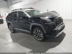 2T3J1RFV3KC018064 2019 TOYOTA RAV 4