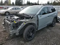 2T3J1RFV3KW015454 2019 TOYOTA RAV 4