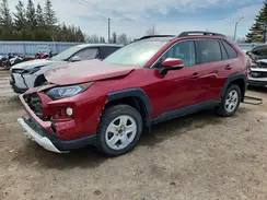 2T3J1RFV3KW023750 2019 TOYOTA RAV 4