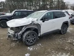 2T3J1RFV3PW376450 2023 TOYOTA RAV 4
