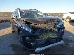 2T3J1RFV4KW011199 2019 TOYOTA RAV 4