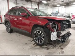 2T3J1RFV4KW014281 2019 TOYOTA RAV 4
