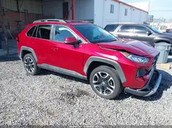 2T3J1RFV4LC135668 2020 TOYOTA RAV 4