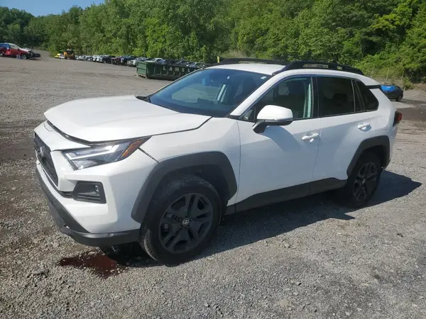 2T3J1RFV4RW442281 2024 TOYOTA RAV 4 - Image 1