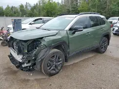 2T3J1RFV4RW452812 2024 TOYOTA RAV 4