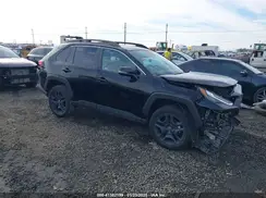 2T3J1RFV4RW468816 2024 TOYOTA RAV 4
