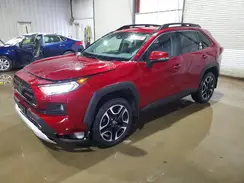 2T3J1RFV5KC021273 2019 TOYOTA RAV 4