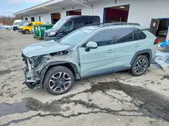 2T3J1RFV5KW007419 2019 TOYOTA RAV 4