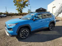 2T3J1RFV5KW025483 2019 TOYOTA RAV 4