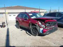 2T3J1RFV5LC081491 2020 TOYOTA RAV 4