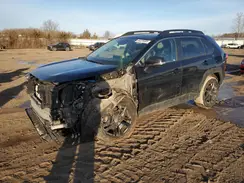 2T3J1RFV5PW356409 2023 TOYOTA RAV 4