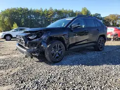 2T3J1RFV5PW375011 2023 TOYOTA RAV 4