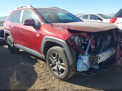 2T3J1RFV5RW469084 2024 TOYOTA RAV 4