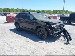 2T3J1RFV5RW469439 2024 TOYOTA RAV 4