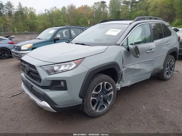 2T3J1RFV6KW006442 2019 TOYOTA RAV 4 - Image 2