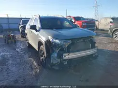2T3J1RFV6KW013262 2019 TOYOTA RAV 4