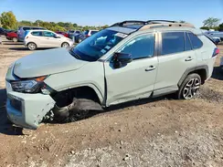 2T3J1RFV6KW065619 2019 TOYOTA RAV 4
