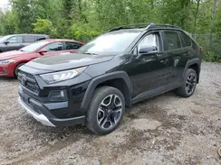 2T3J1RFV6MW183141 2021 TOYOTA RAV 4