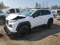 2T3J1RFV6NW268109 2022 TOYOTA RAV 4