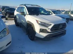 2T3J1RFV6NW287131 2022 TOYOTA RAV 4