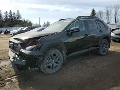 2T3J1RFV6RW428768 2024 TOYOTA RAV 4